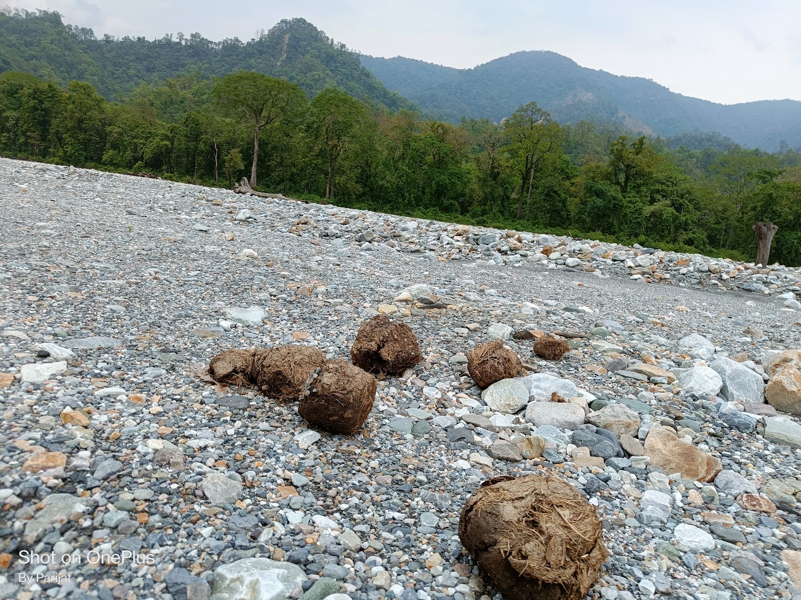 Jayanti Riverbed
