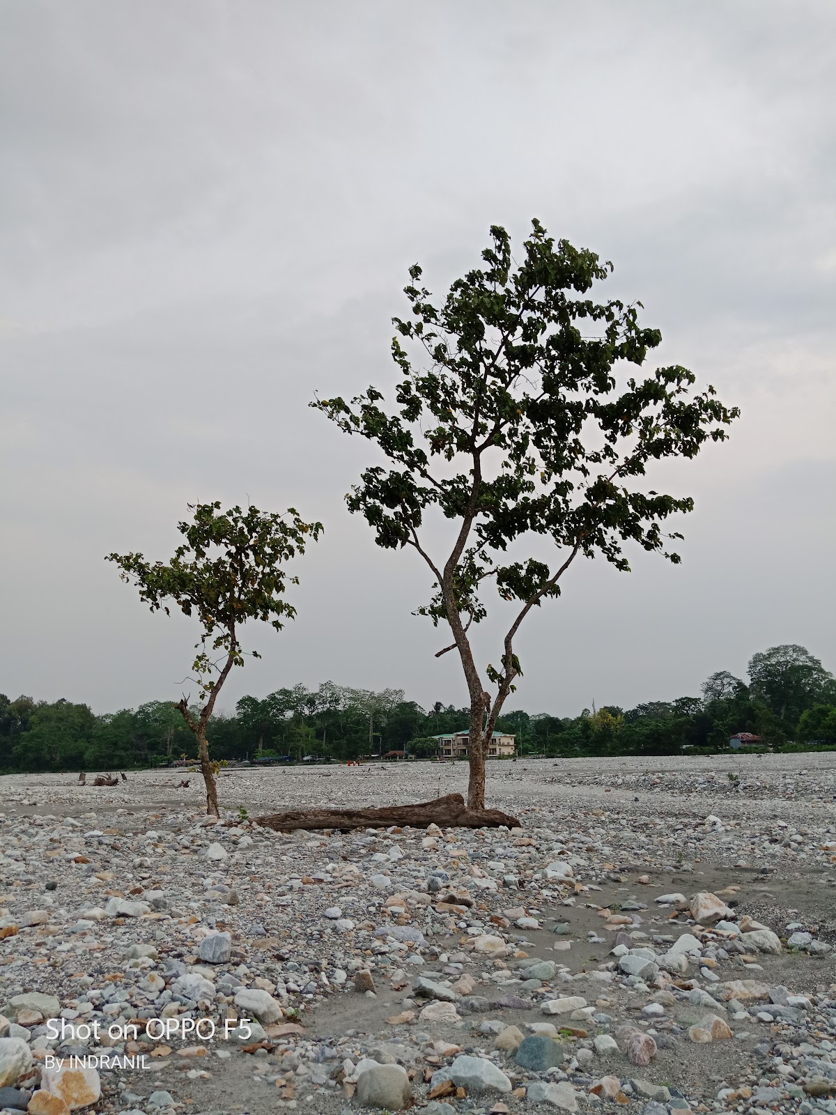 Jayanti Riverbed
