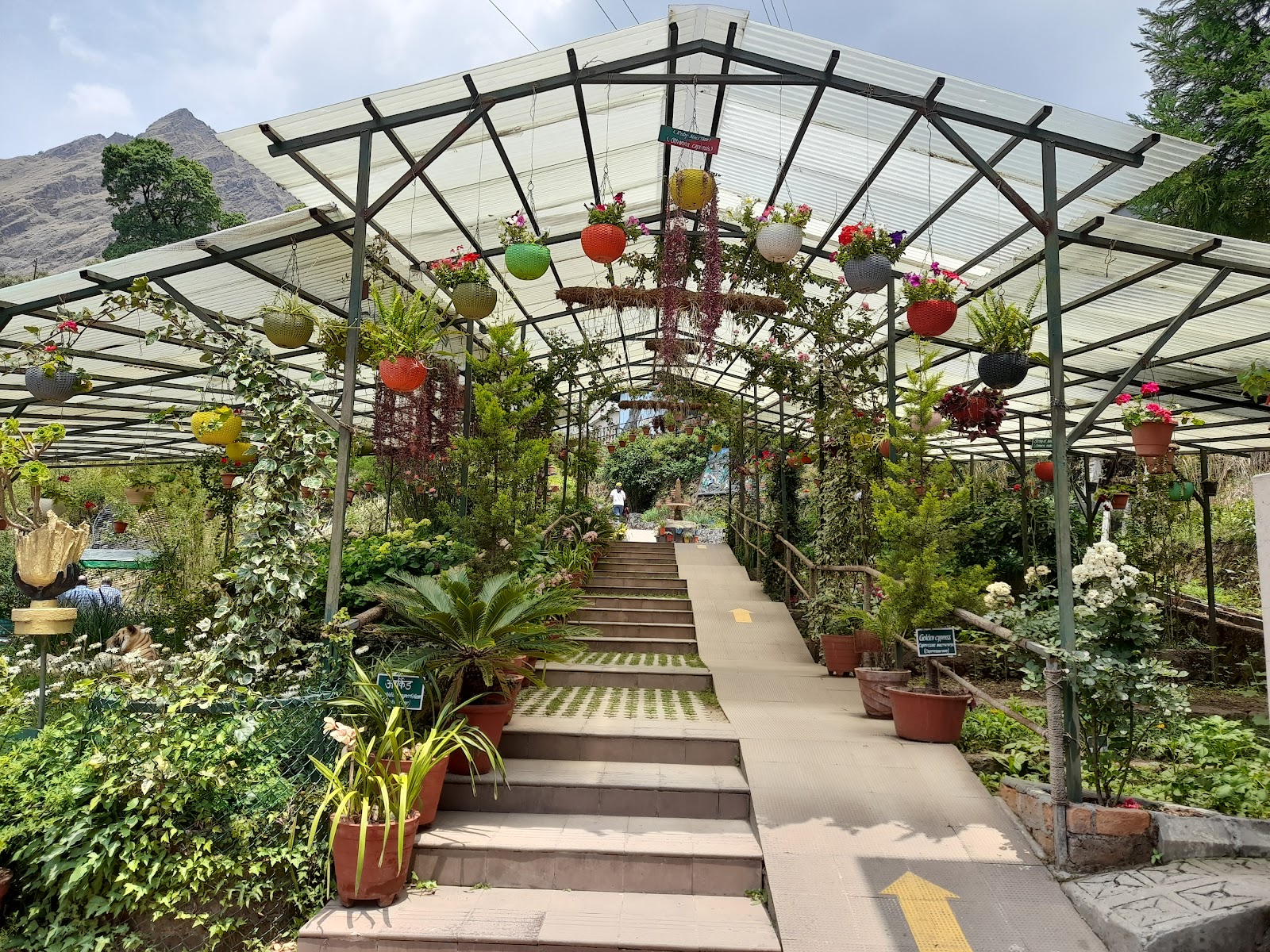 Himalayan Botanical Garden