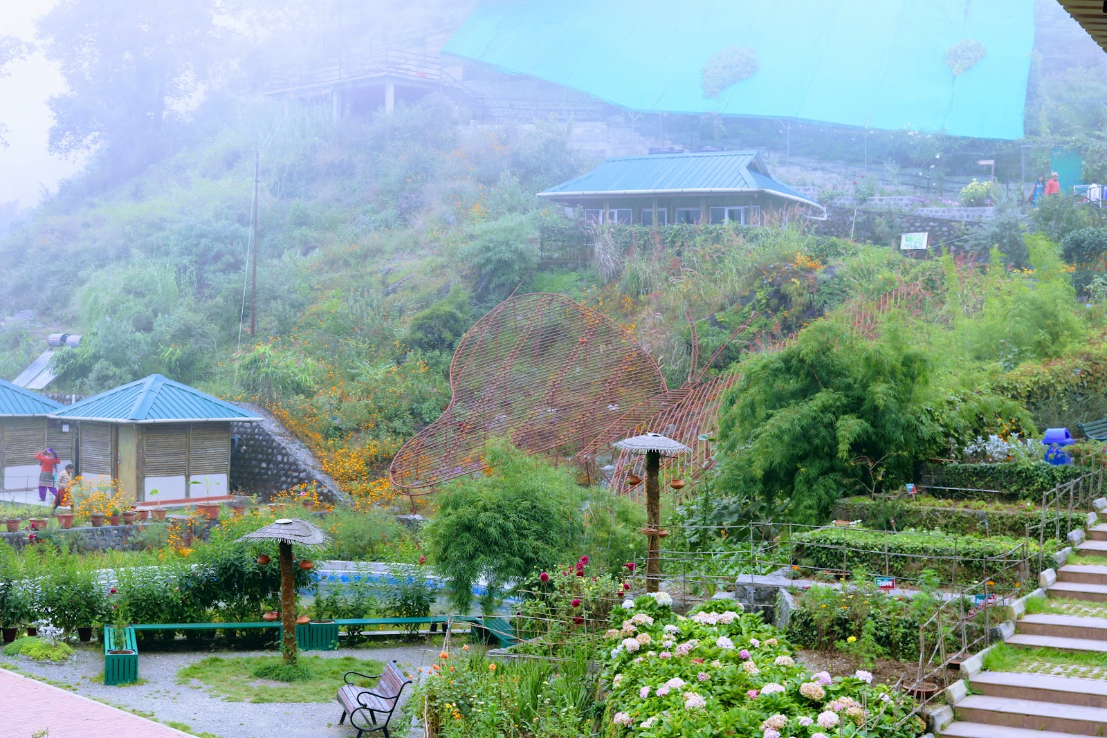 Himalayan Botanical Garden