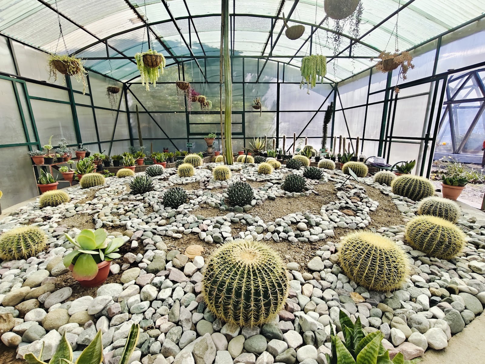 Himalayan Botanical Garden