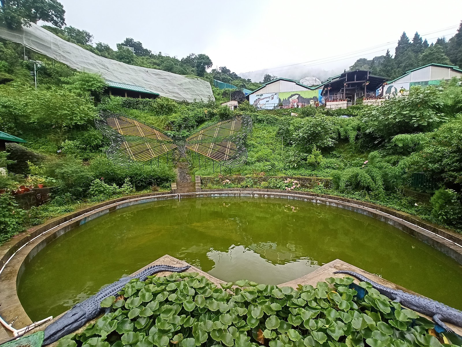 Himalayan Botanical Garden