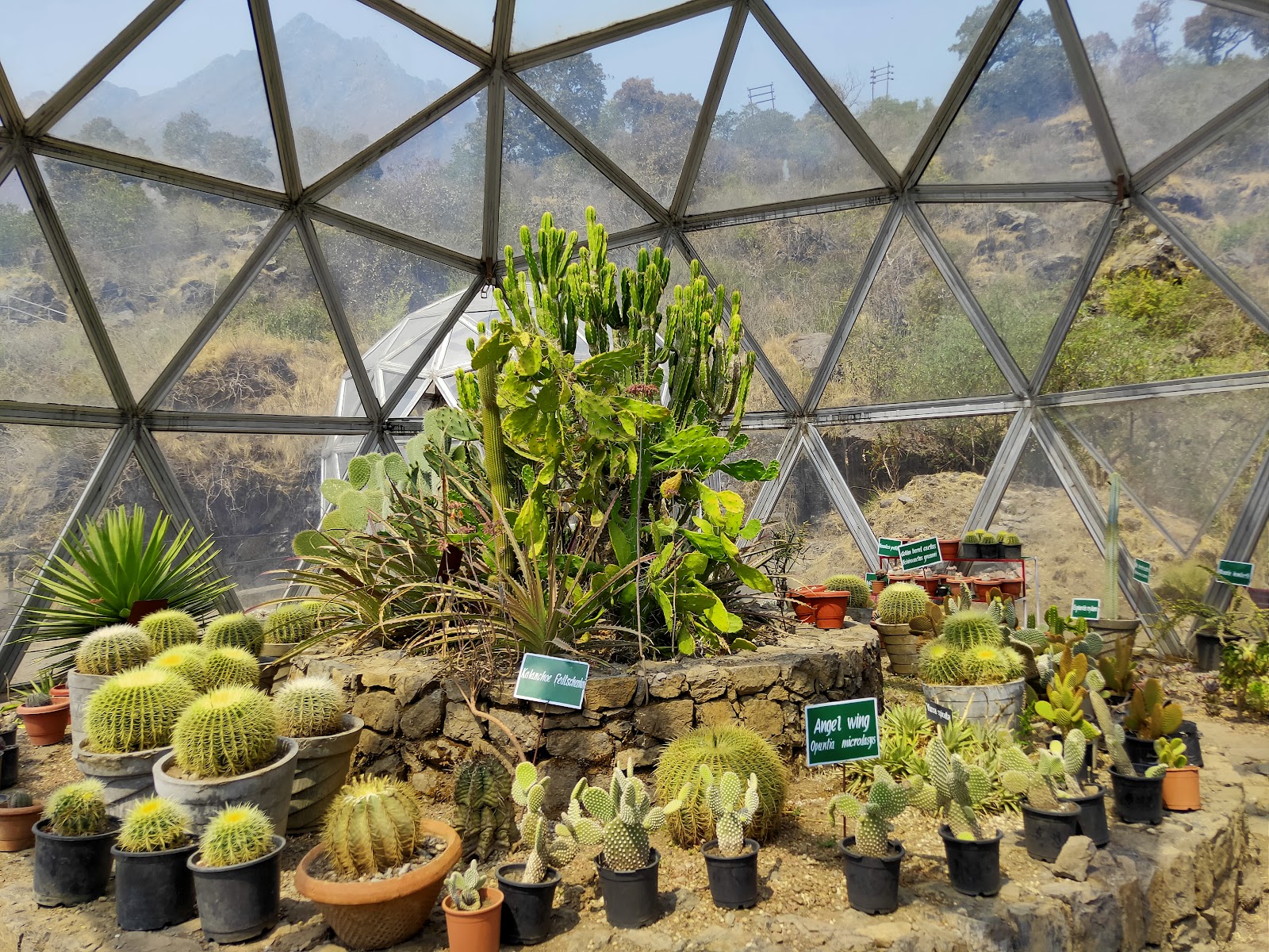 Himalayan Botanical Garden