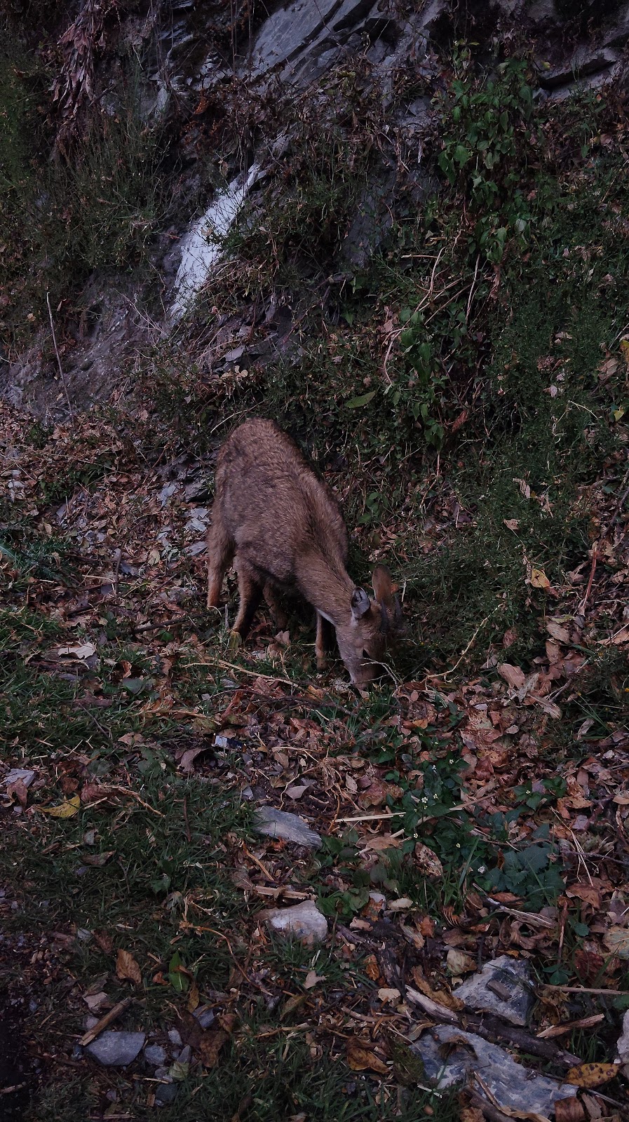 Kilbury Bird Sanctuary