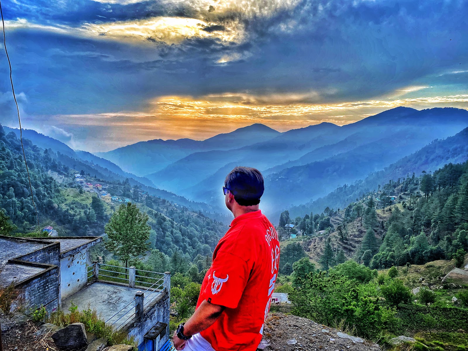 Kilbury Bird Sanctuary