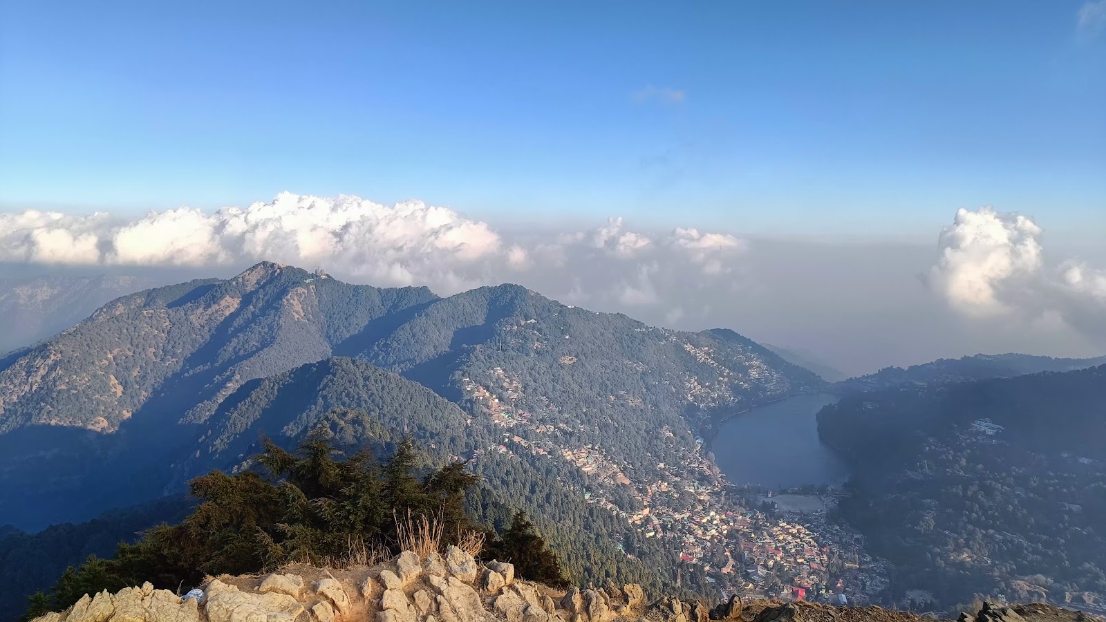 Kilbury Bird Sanctuary