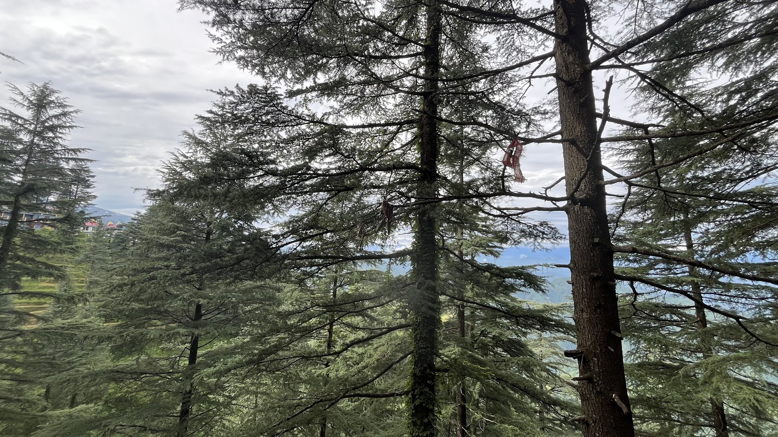 Kilbury Bird Sanctuary