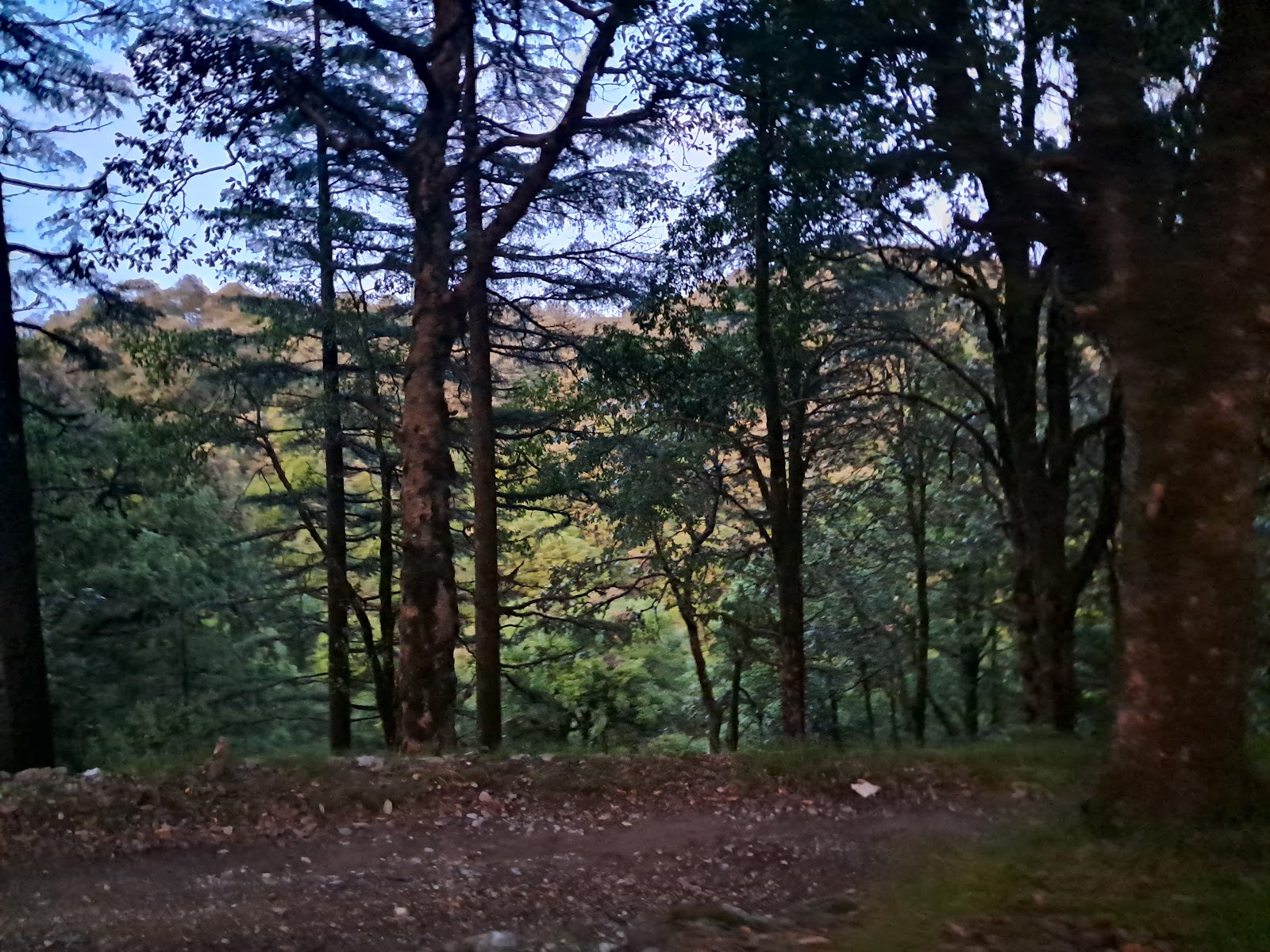 Kilbury Bird Sanctuary