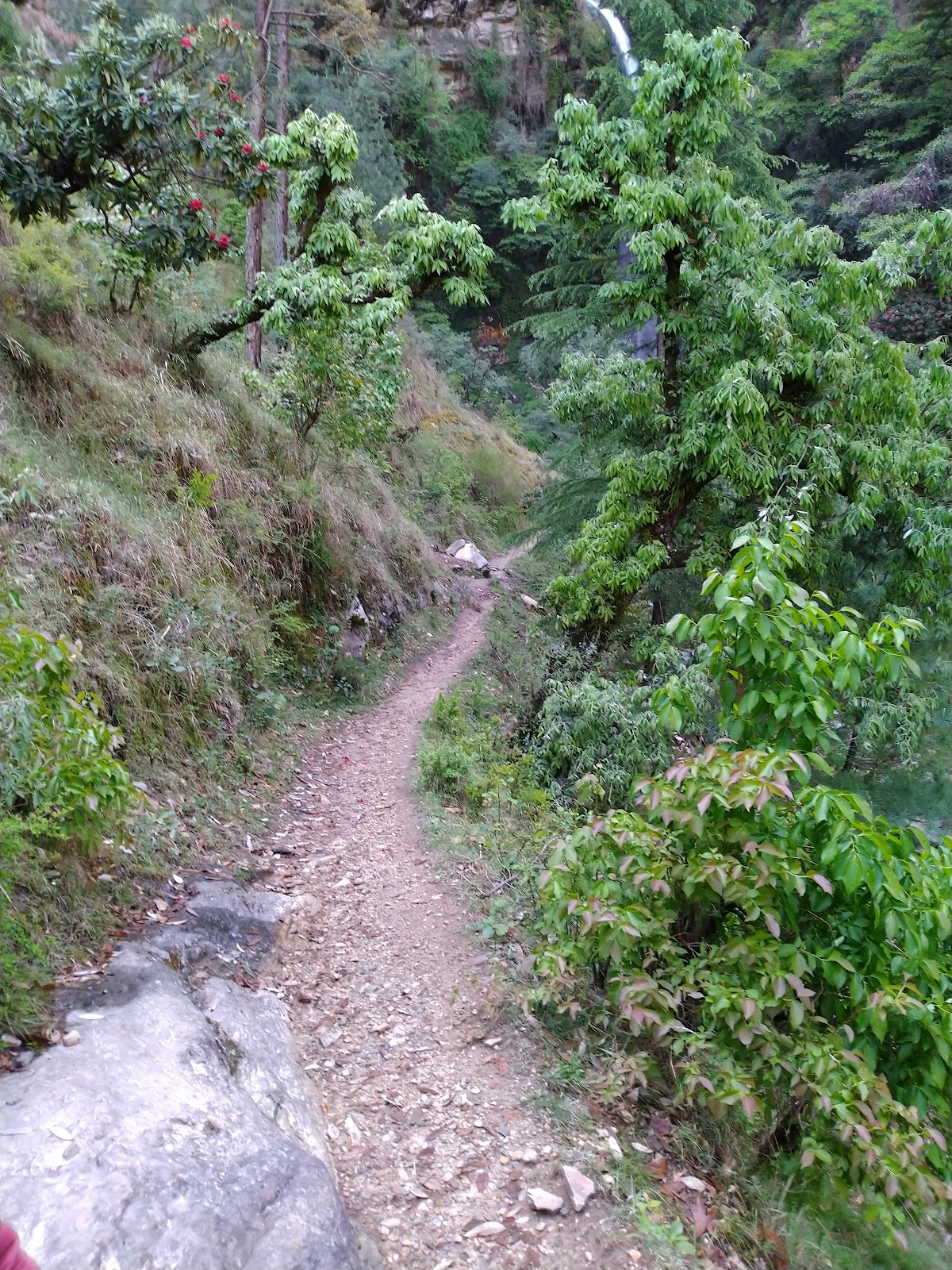 Local Waterfall
