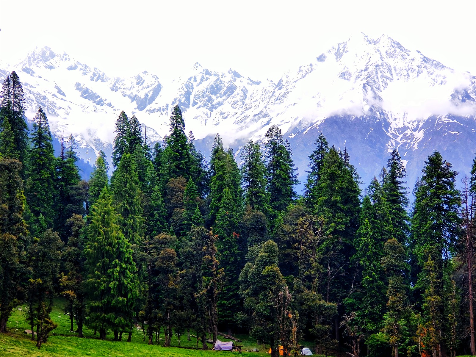 Nature Park