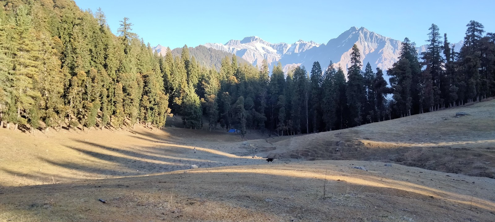 Nature Park