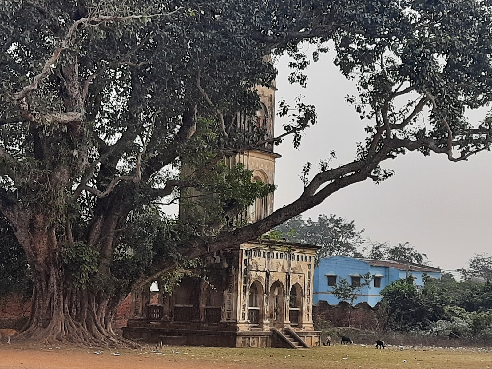 Chilkigarh Rajbari