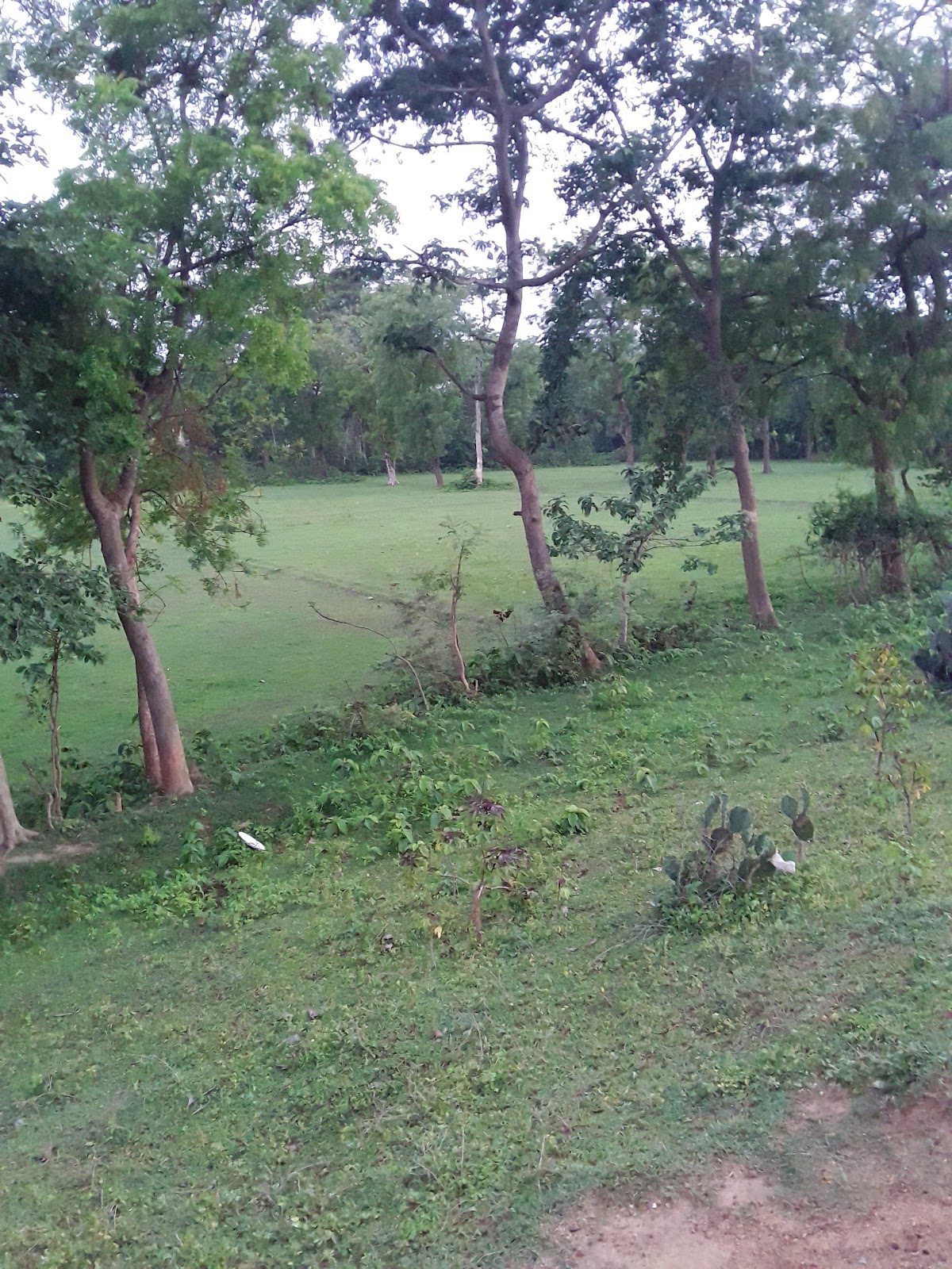 Gopiballavpur