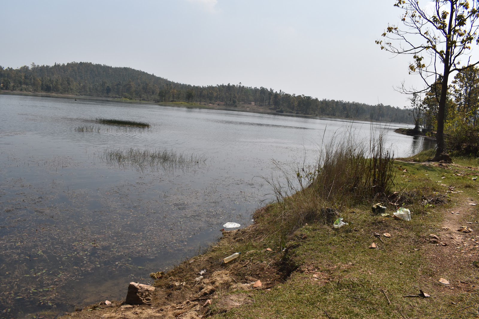 Jhargram Lake