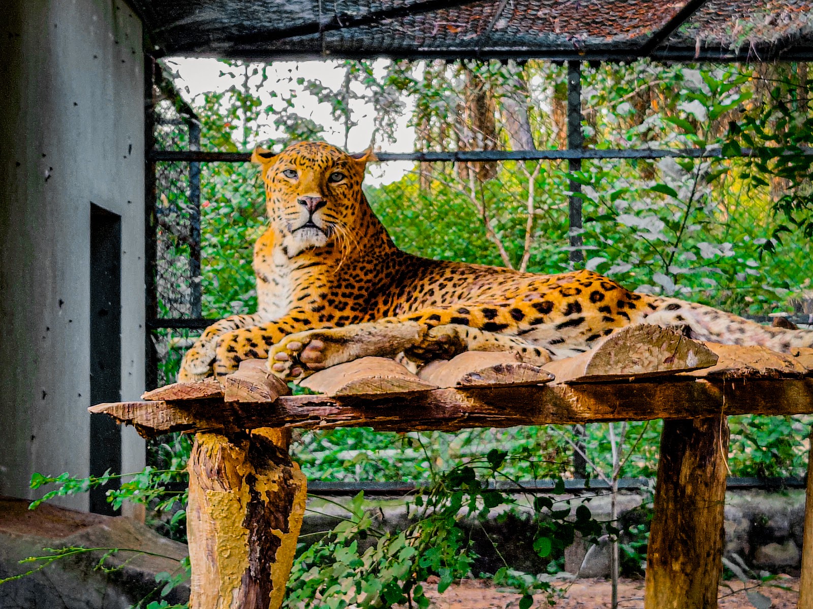 Jhargram Wildlife Sanctuary