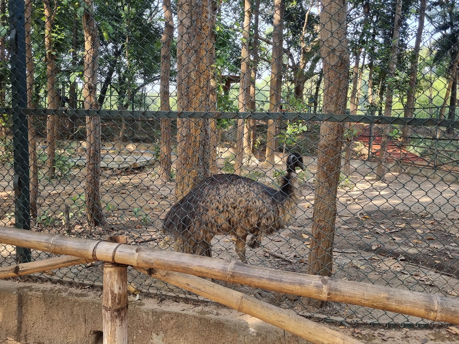 Jhargram Wildlife Sanctuary