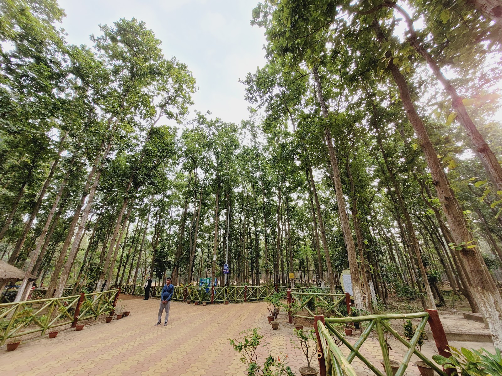 Jhargram Wildlife Sanctuary