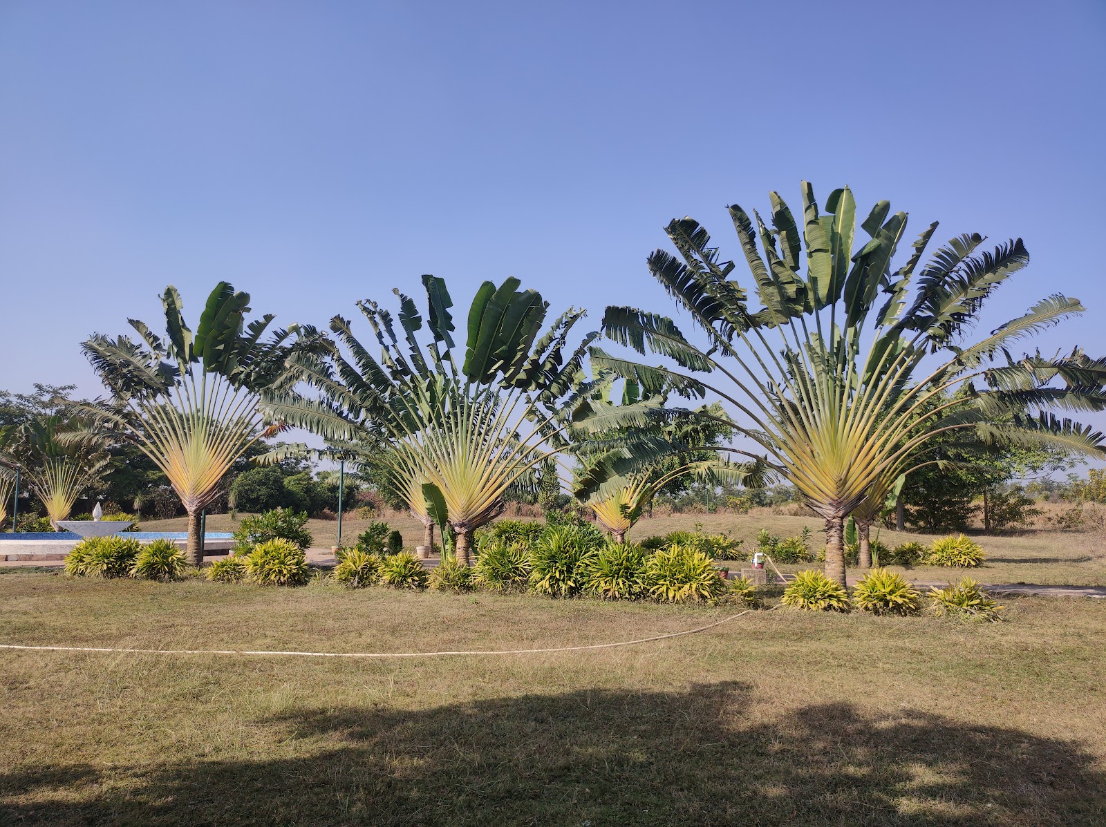 Jharsuguda Park