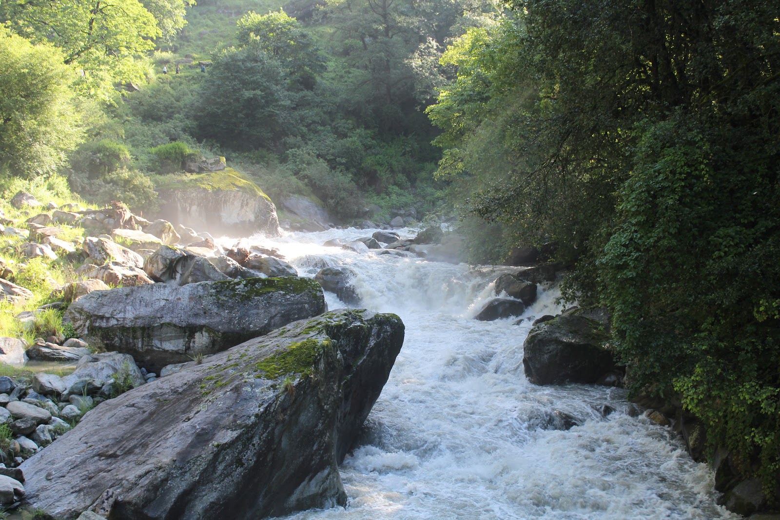 Great Himalayan National Park
