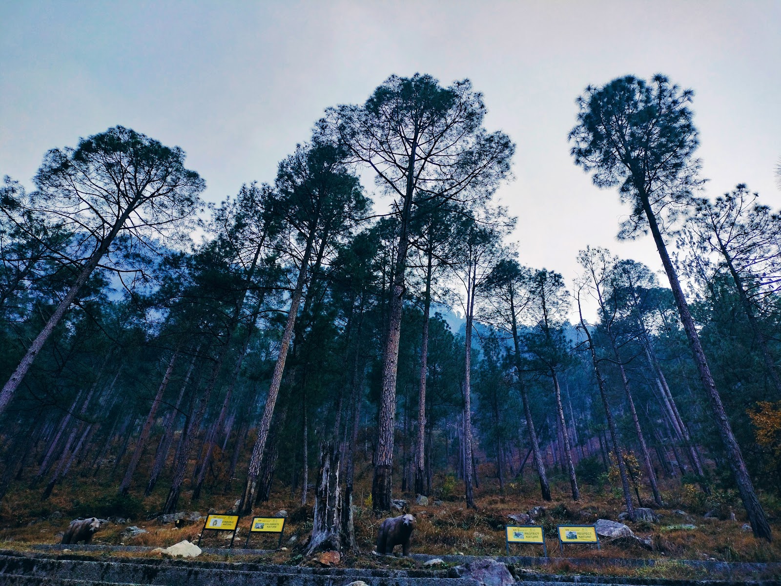 Great Himalayan National Park