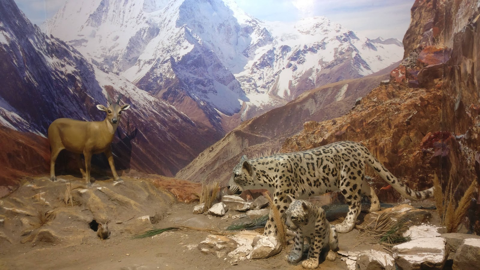 Great Himalayan National Park