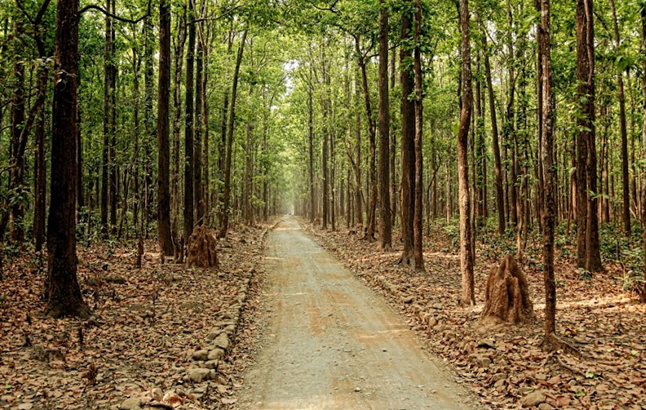 Sitabani Wildlife Reserve