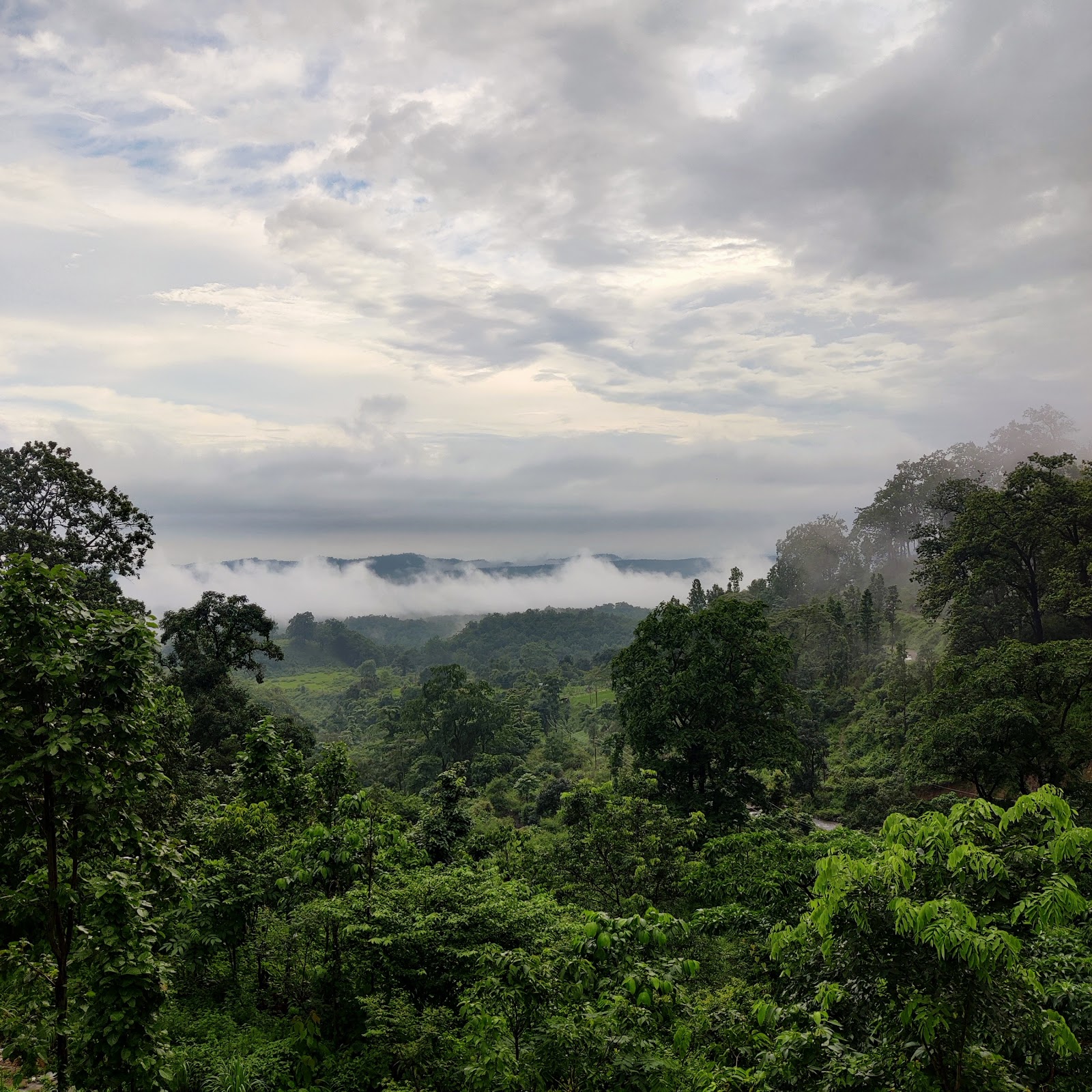 Sitabani Wildlife Reserve