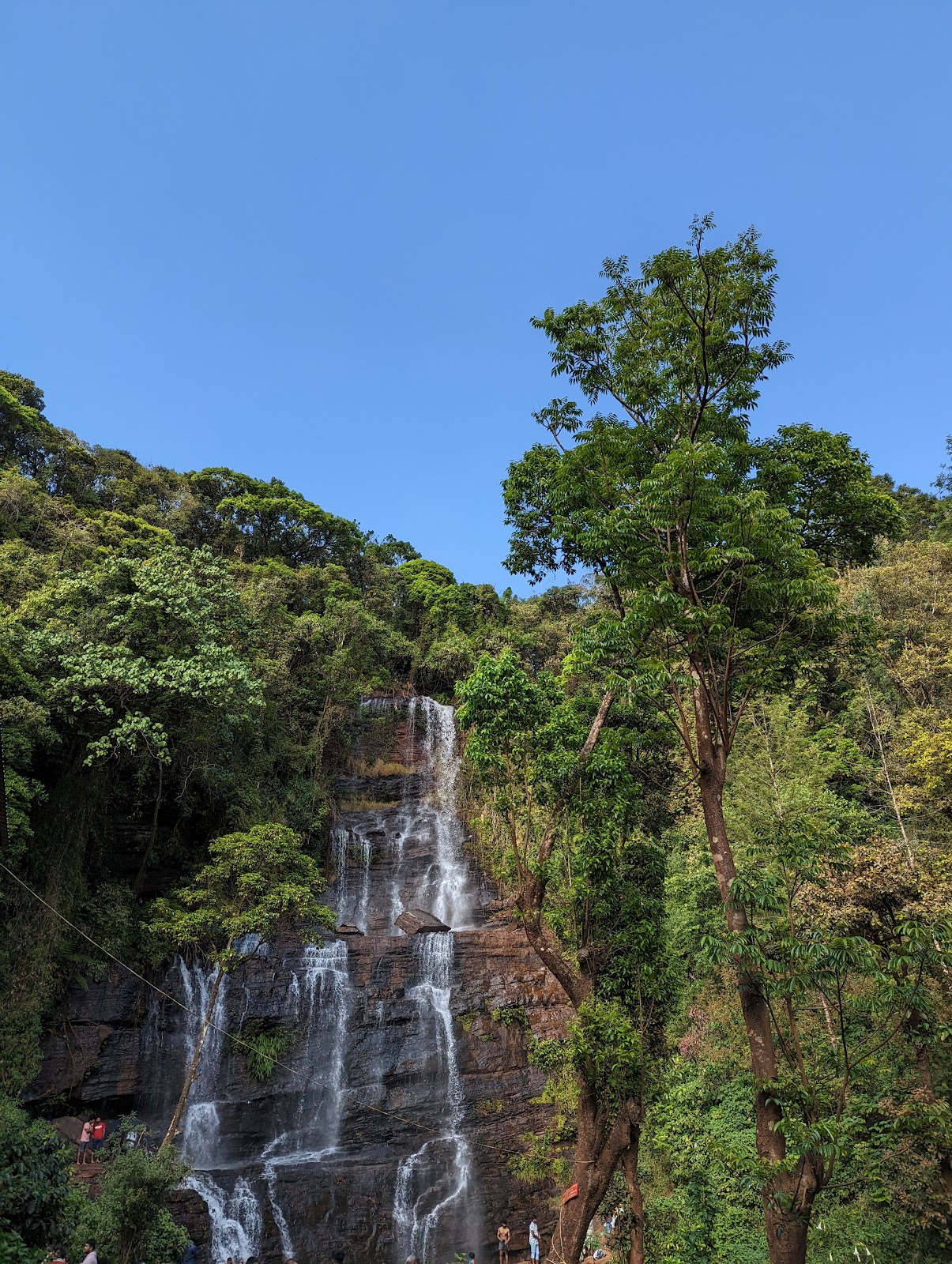 Bhadra Wildlife Sanctuary