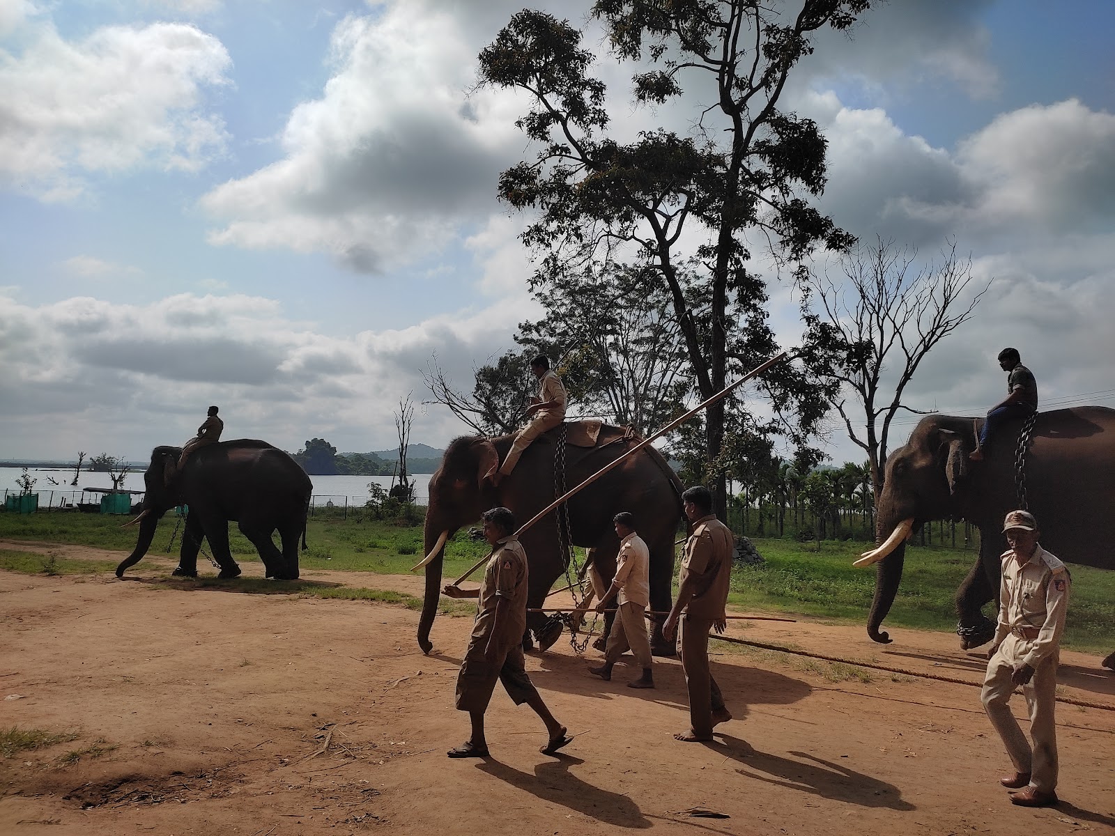 Sakrebailu Elephant Camp