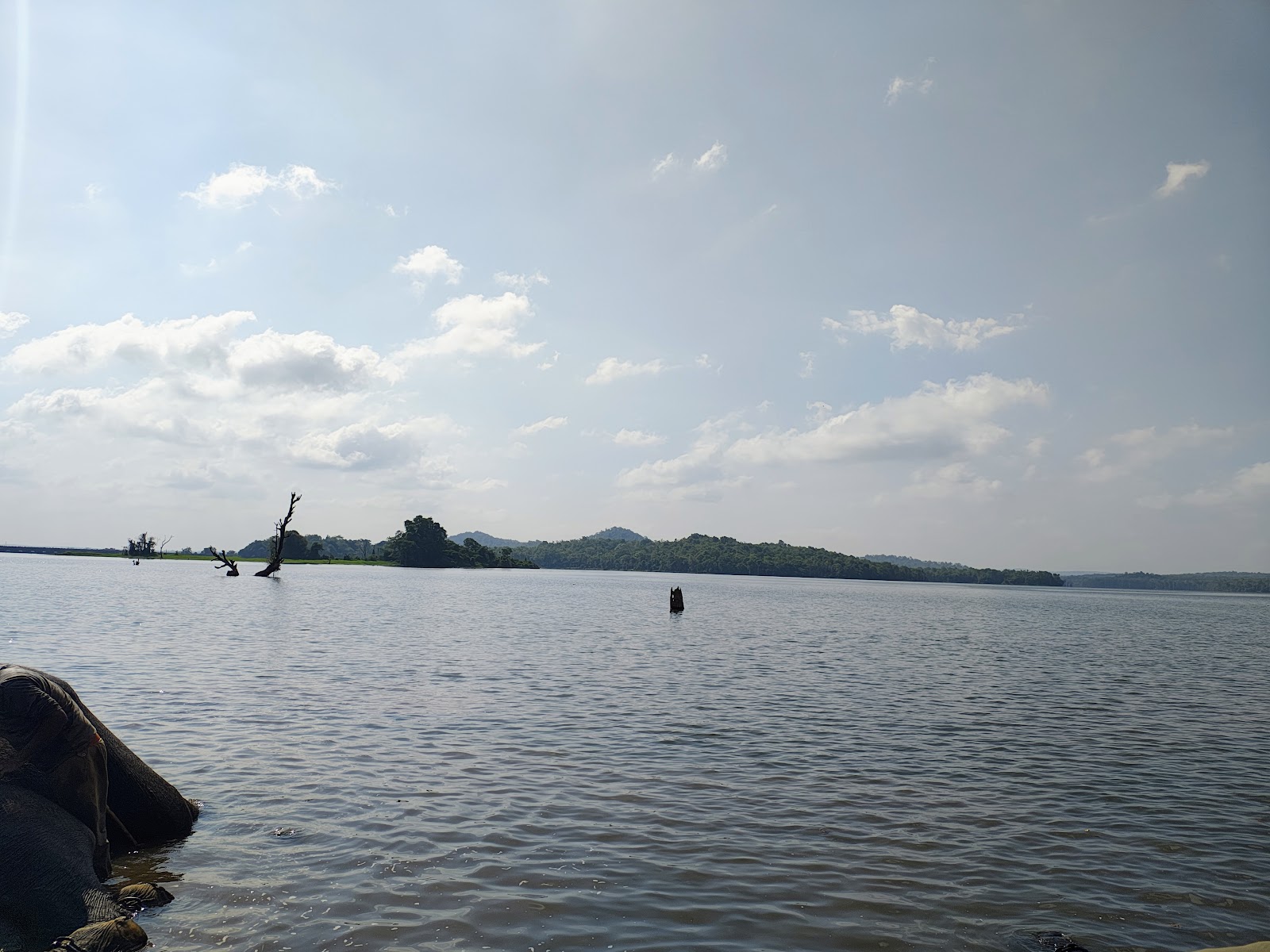 Sakrebailu Elephant Camp