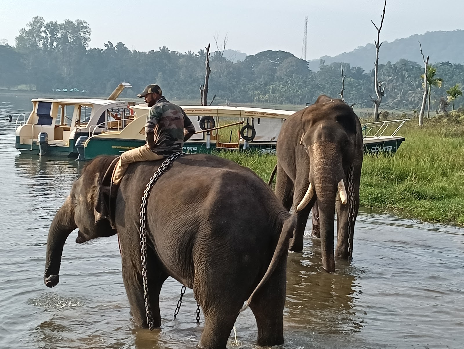 Sakrebailu Elephant Camp