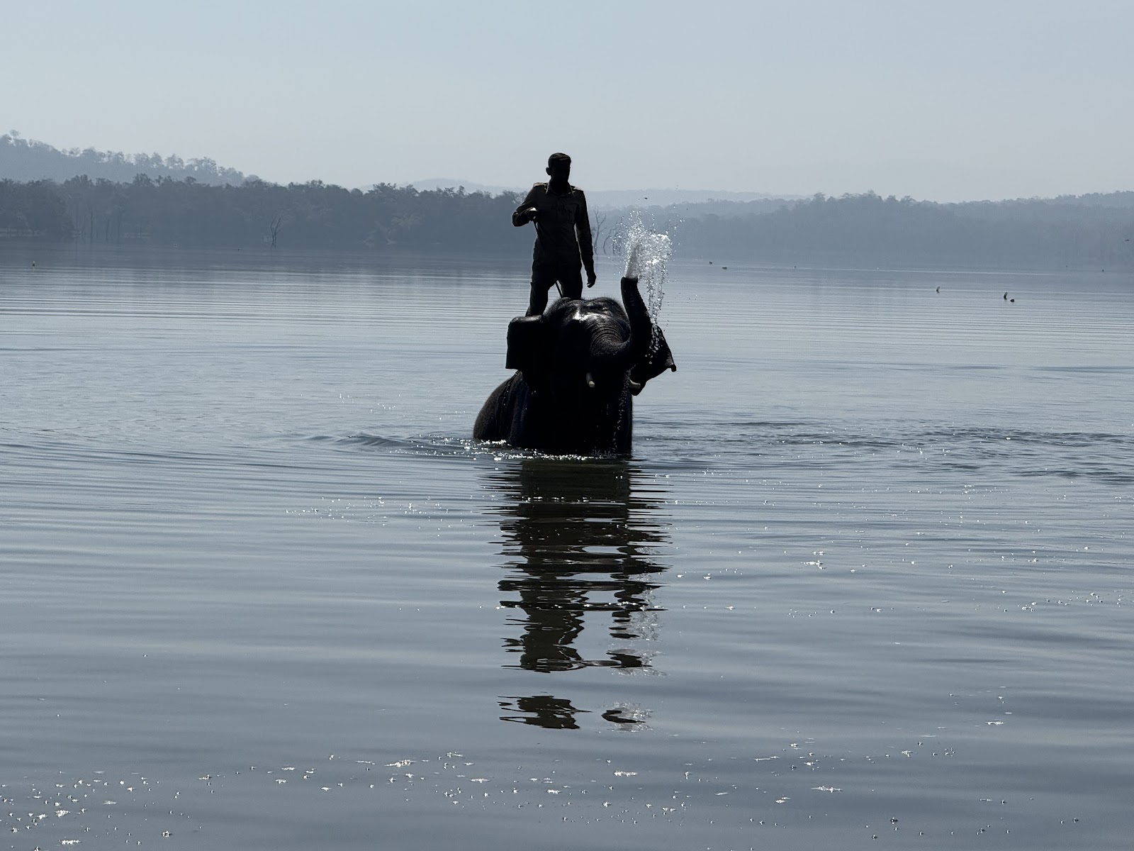 Sakrebailu Elephant Camp