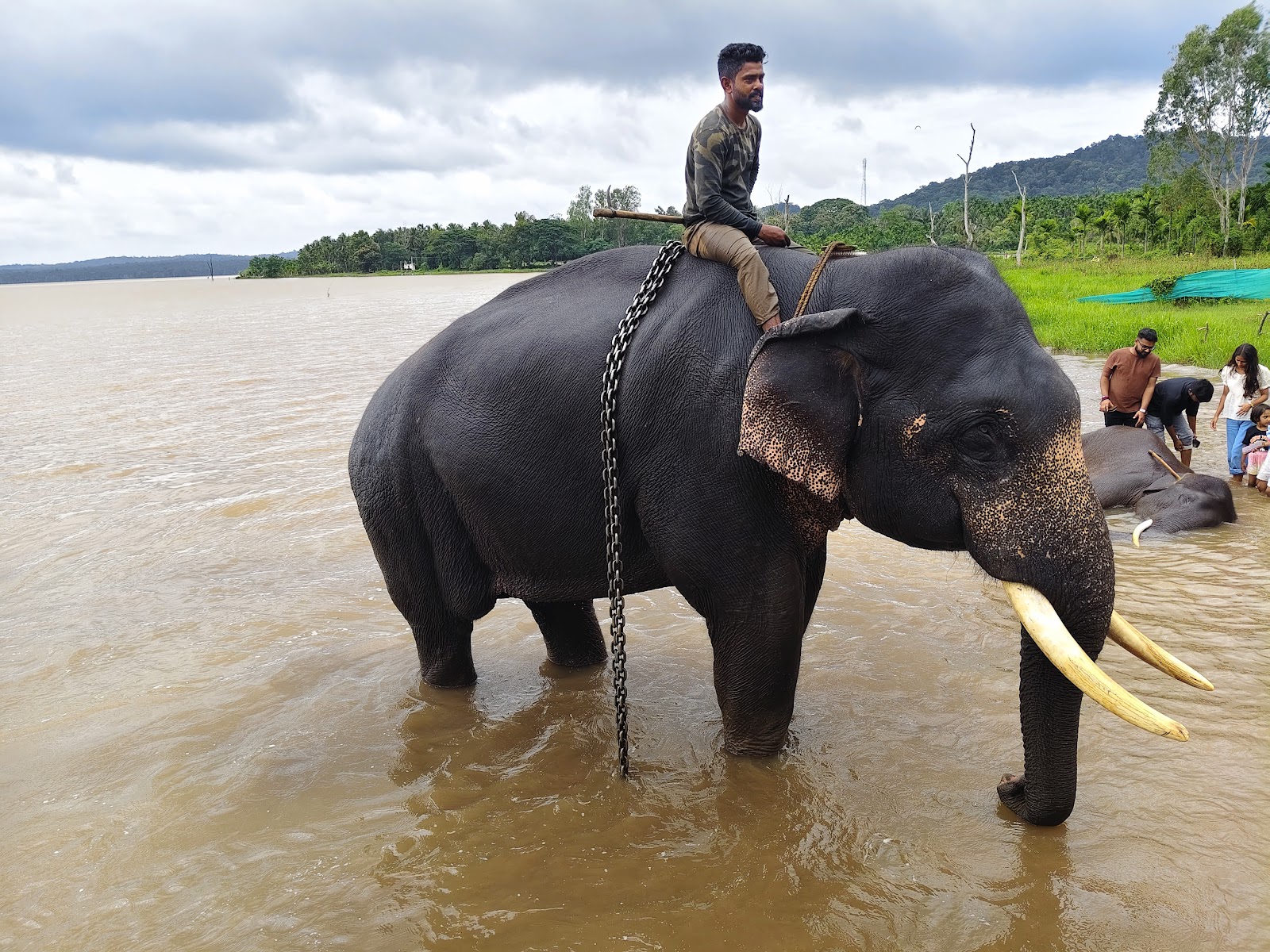 Sakrebailu Elephant Camp