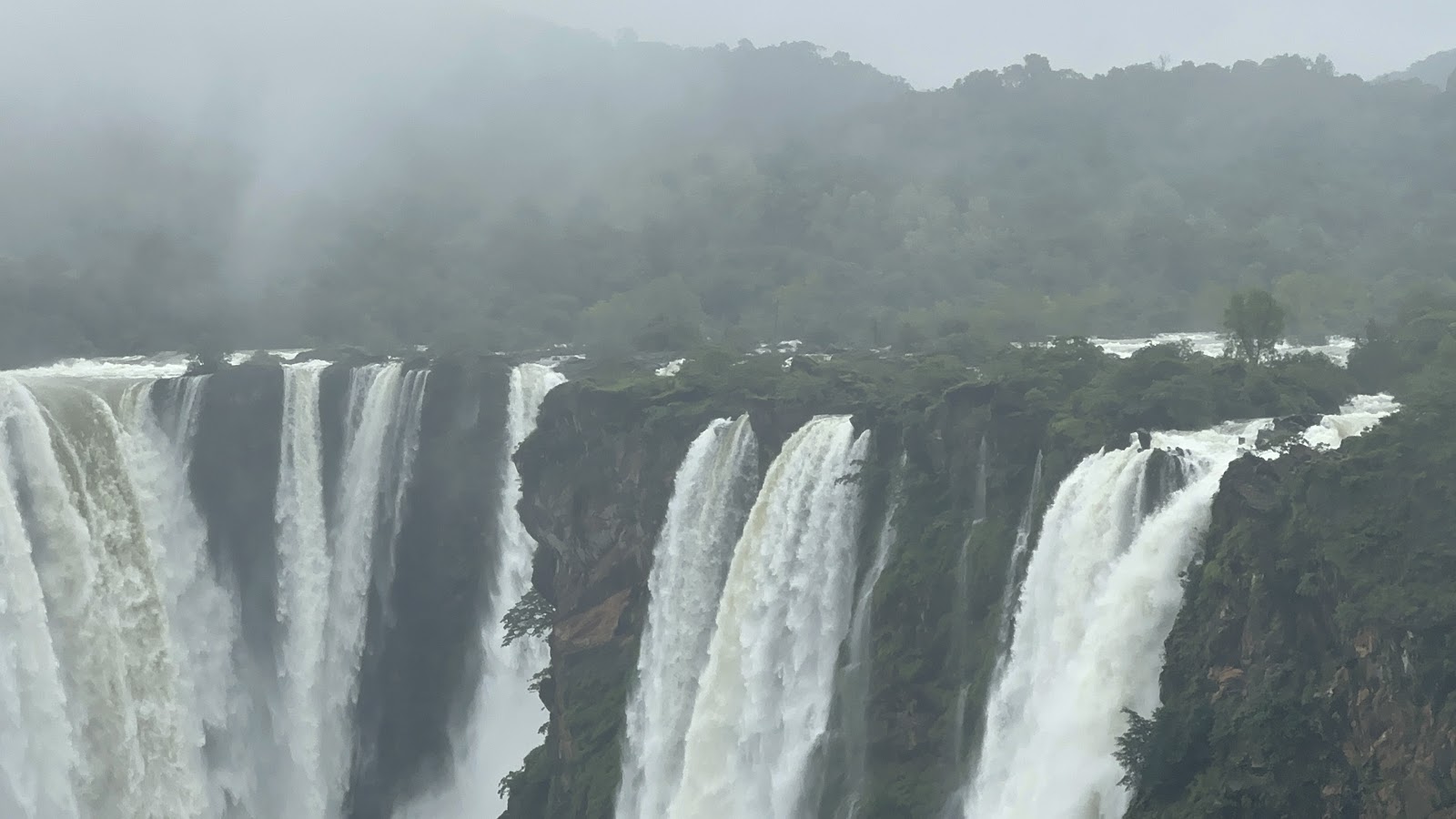 Sharavathi Valley Wildlife Sanctuary