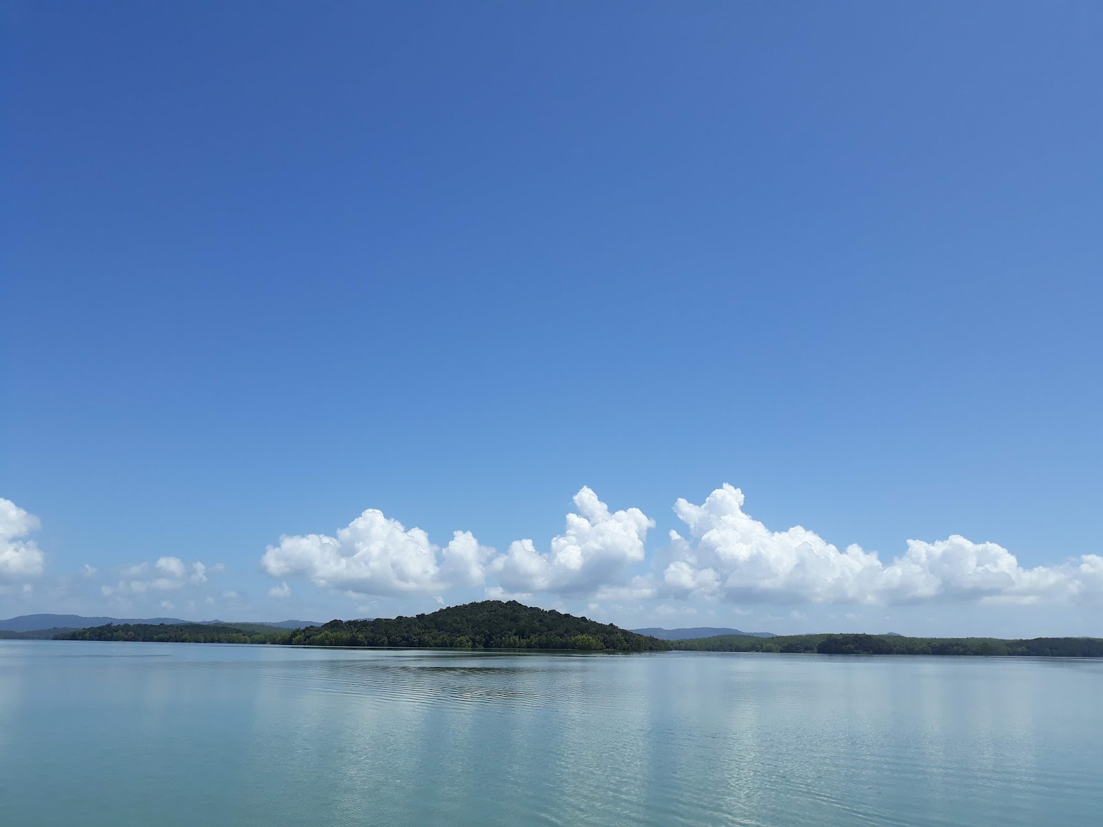 Sharavathi Valley Wildlife Sanctuary