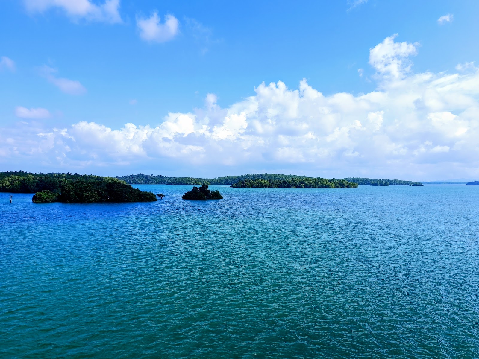 Sharavathi Valley Wildlife Sanctuary