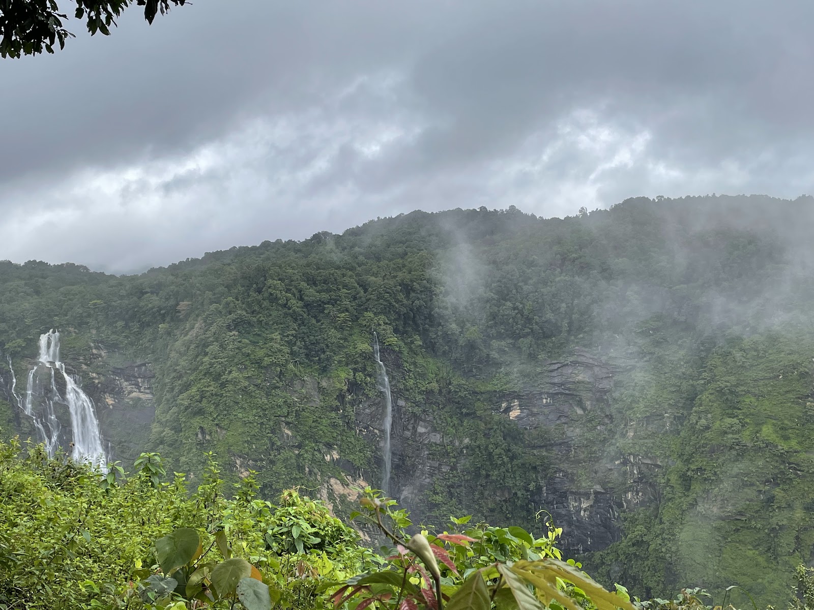 Sharavathi Valley Wildlife Sanctuary