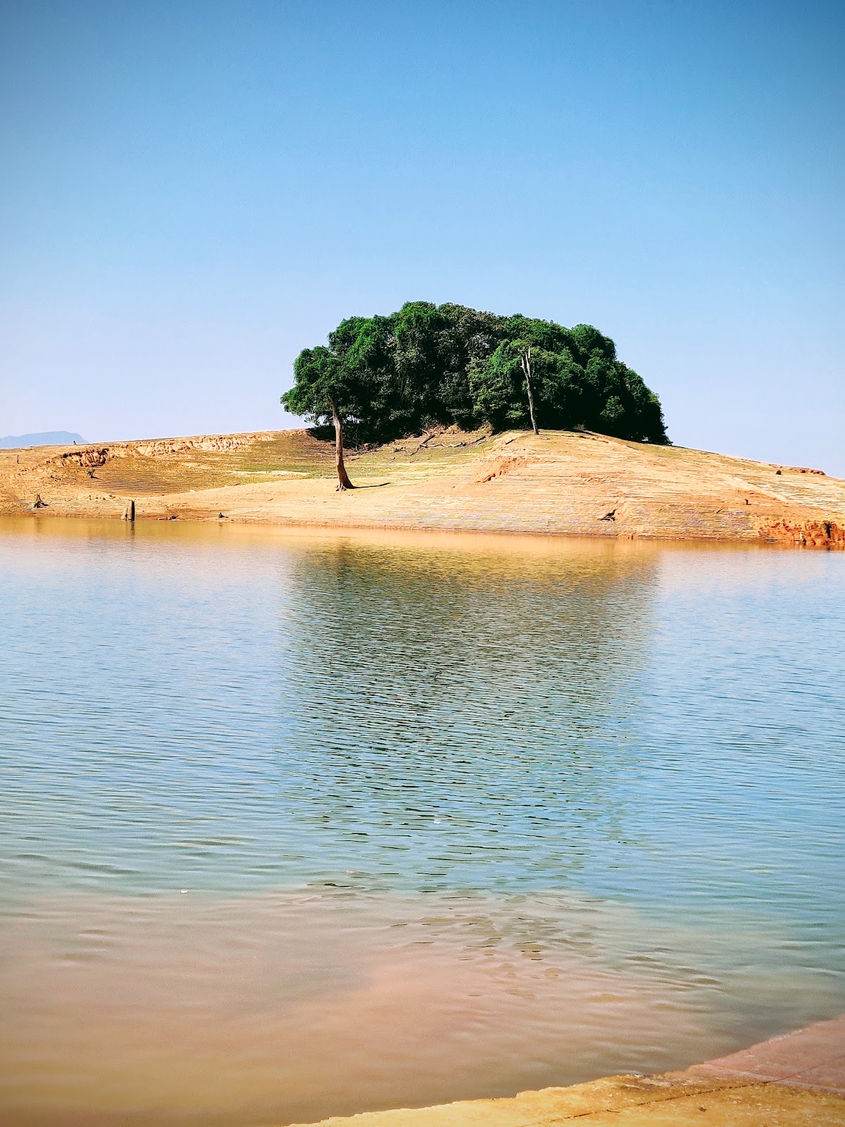 Sharavathi Valley Wildlife Sanctuary