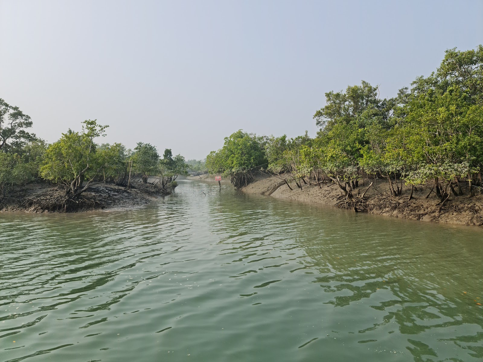 Sundarban National Park (West Bengal)