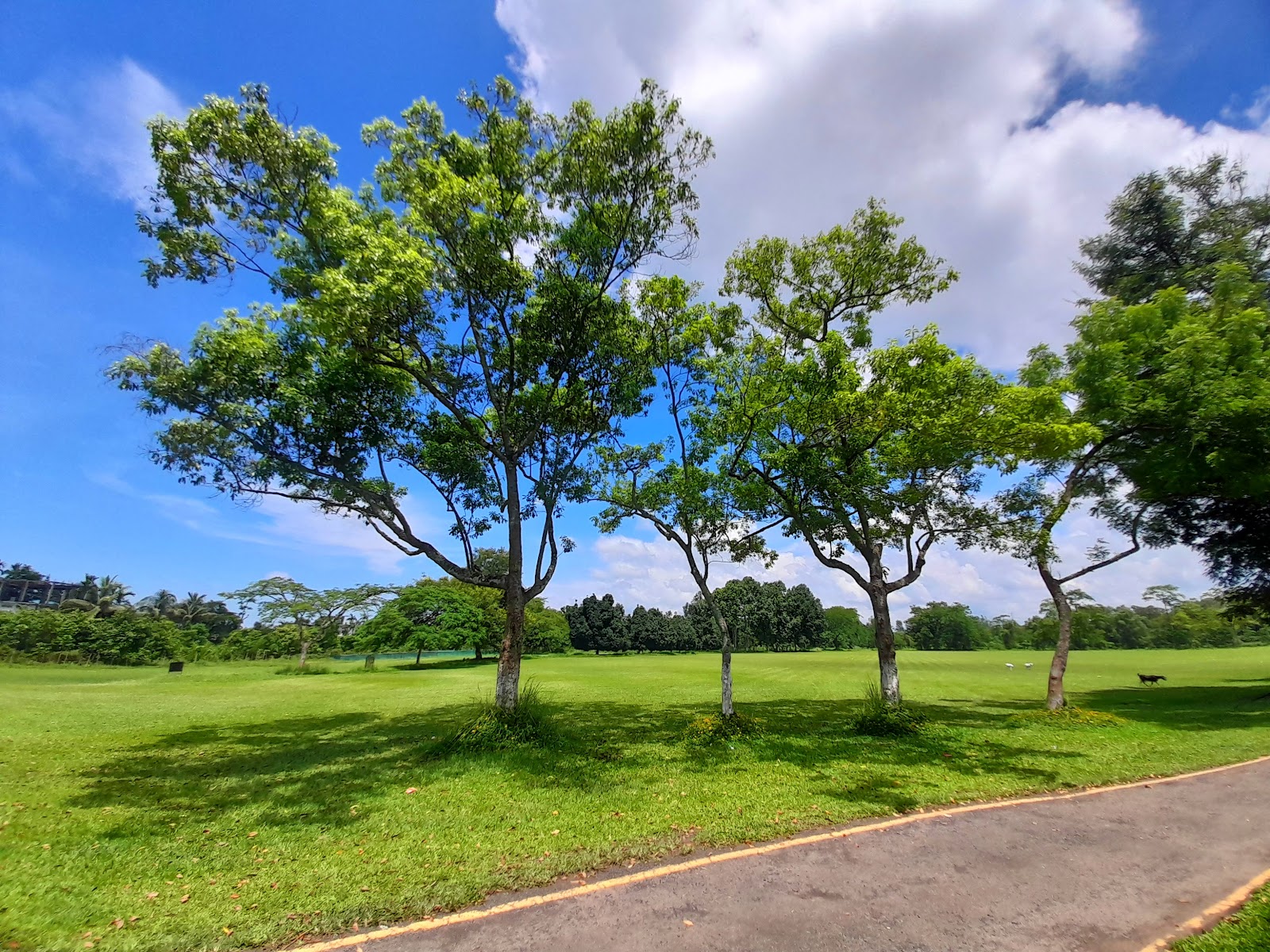 Jorhat Gymkhana Club