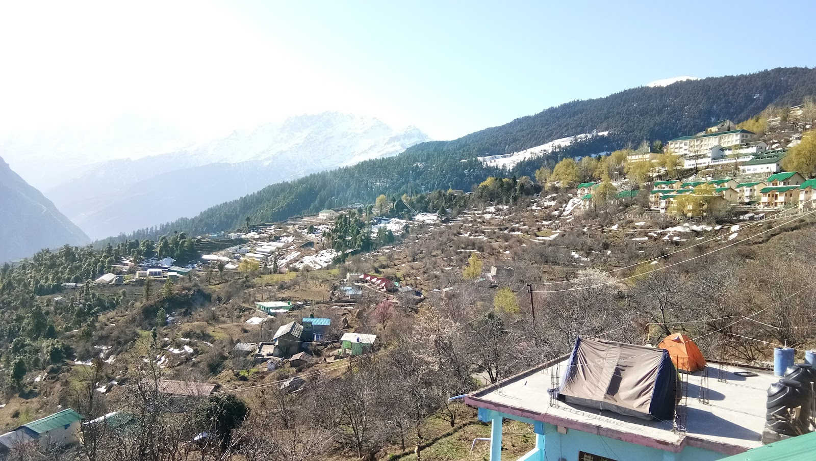 Auli