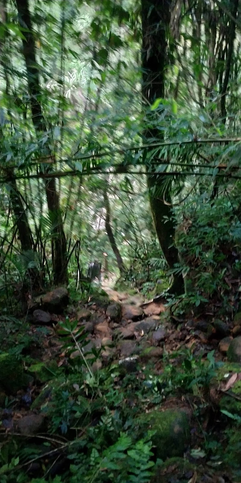 Nohkalikai Waterfall