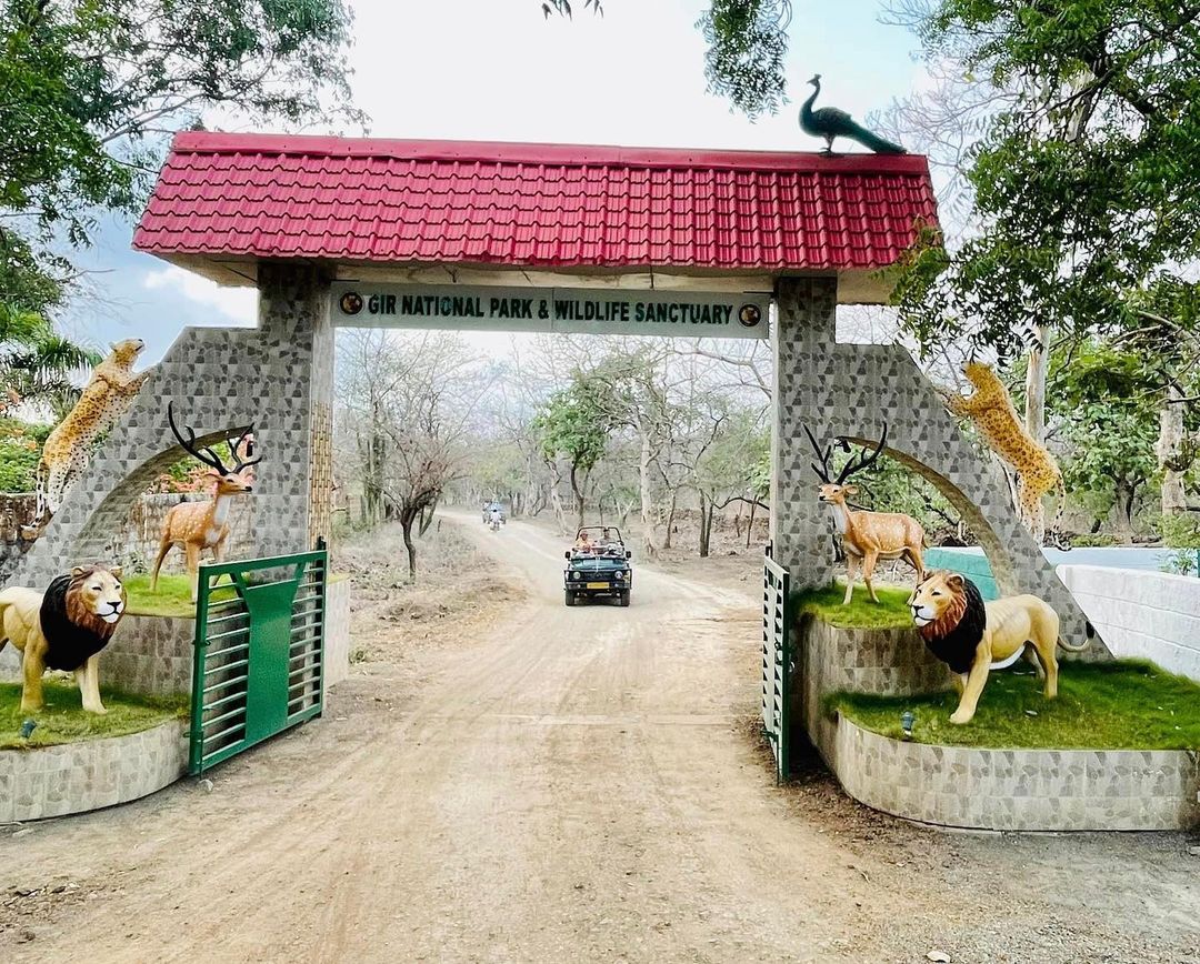 Gir National Park