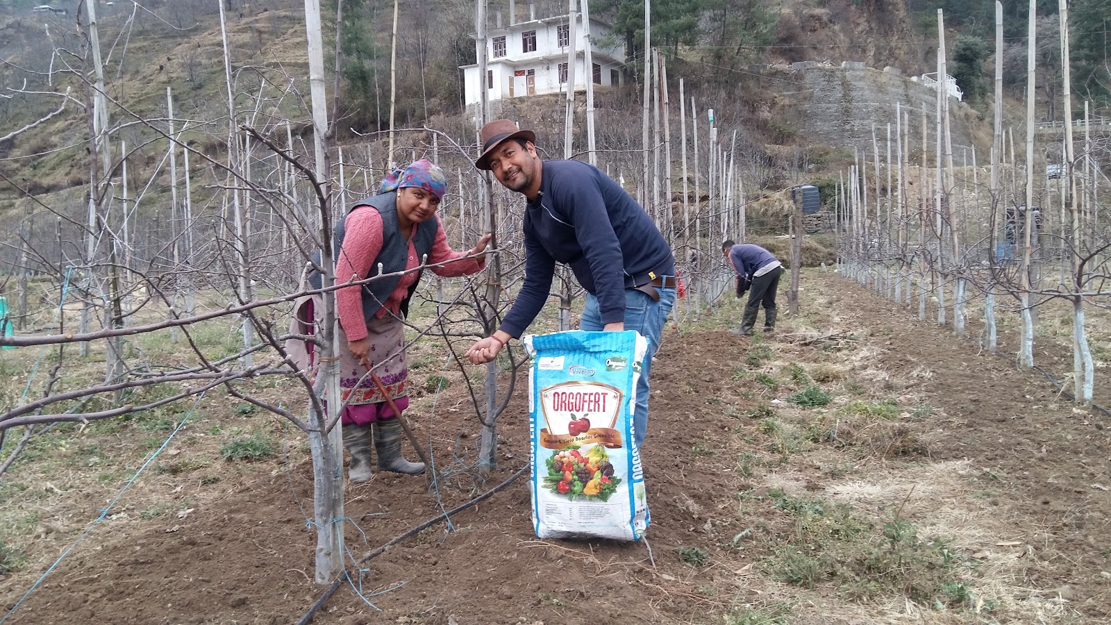 Apple Orchards of Junga