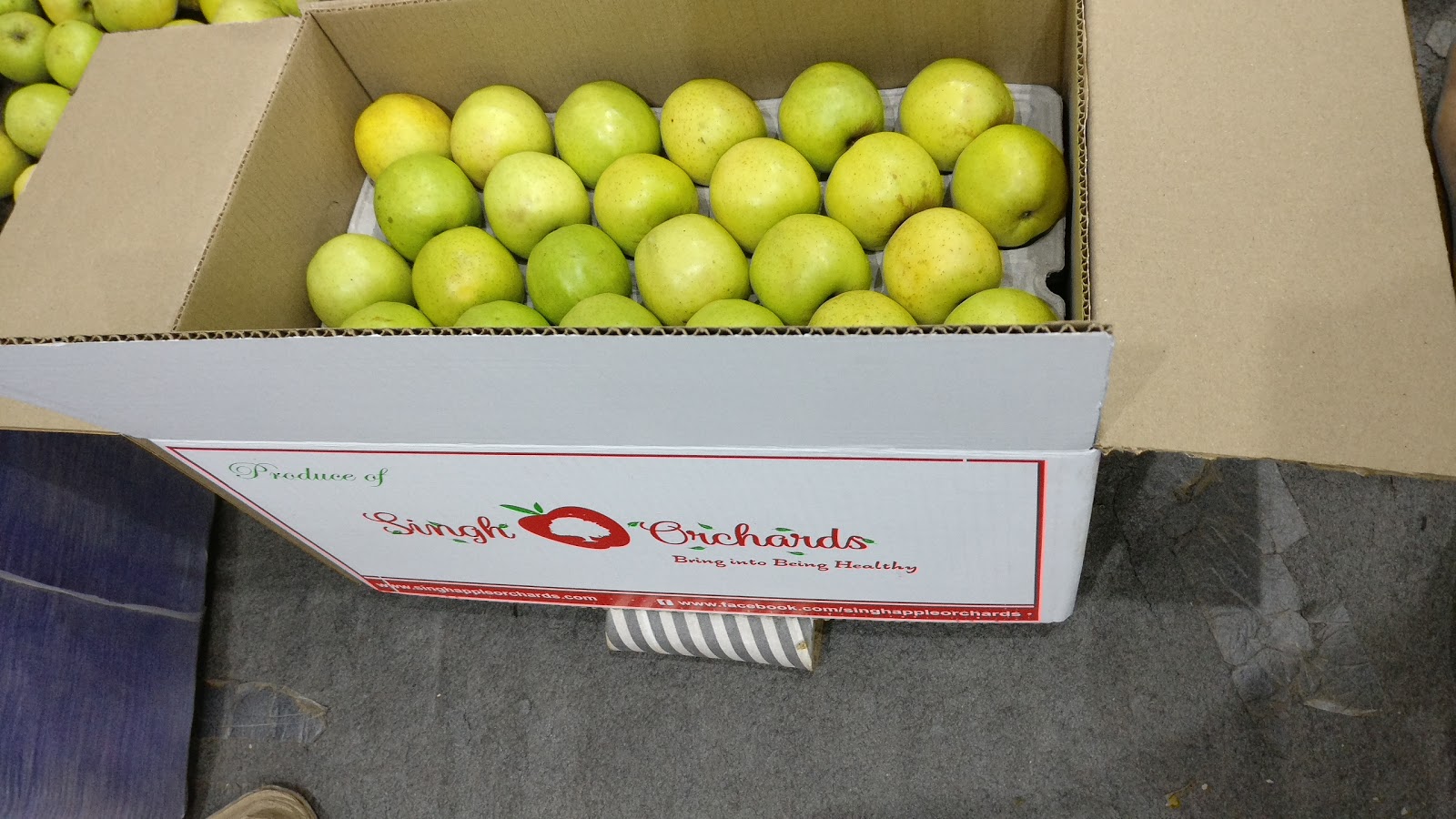 Apple Orchards of Junga