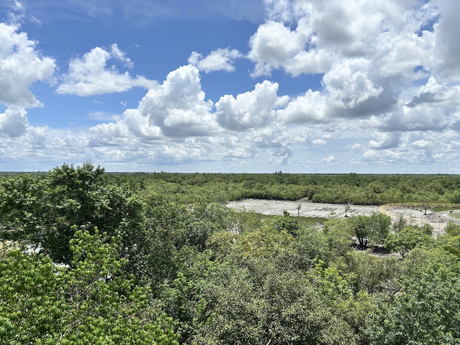 Sundarbans National Park