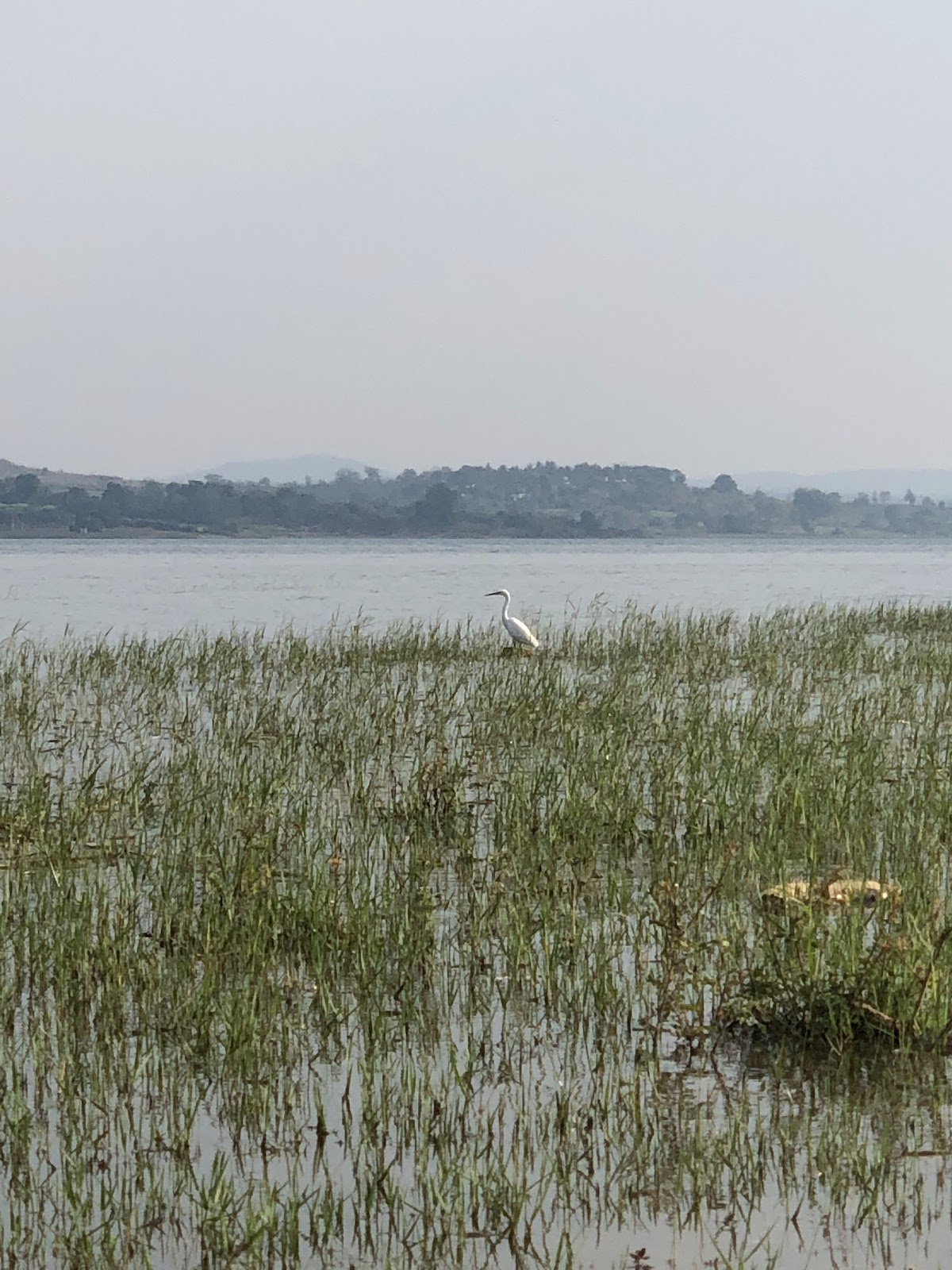 Kabini River