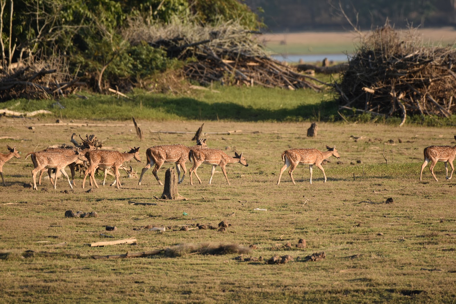 Karnataka State Museum