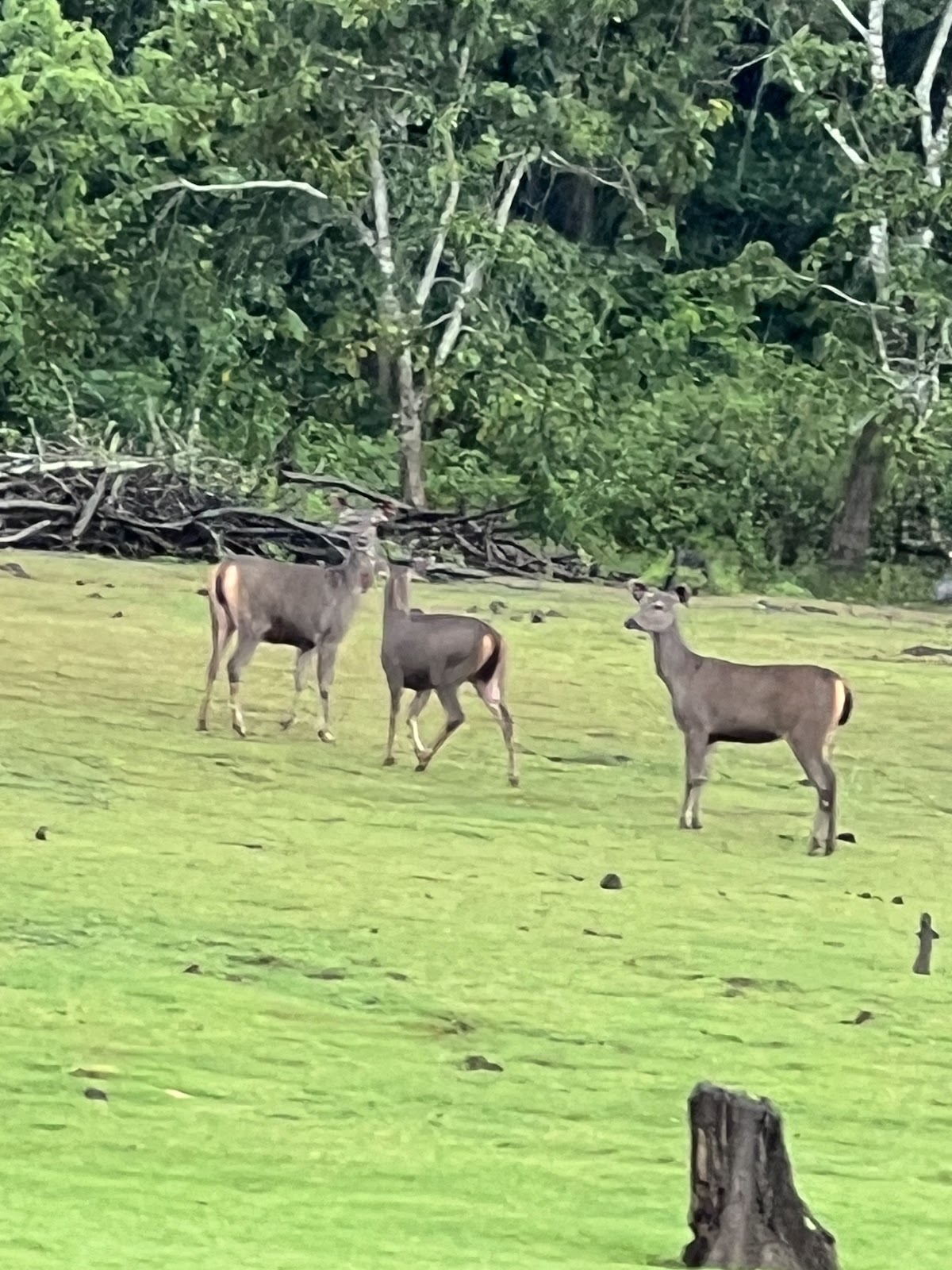 Karnataka State Museum
