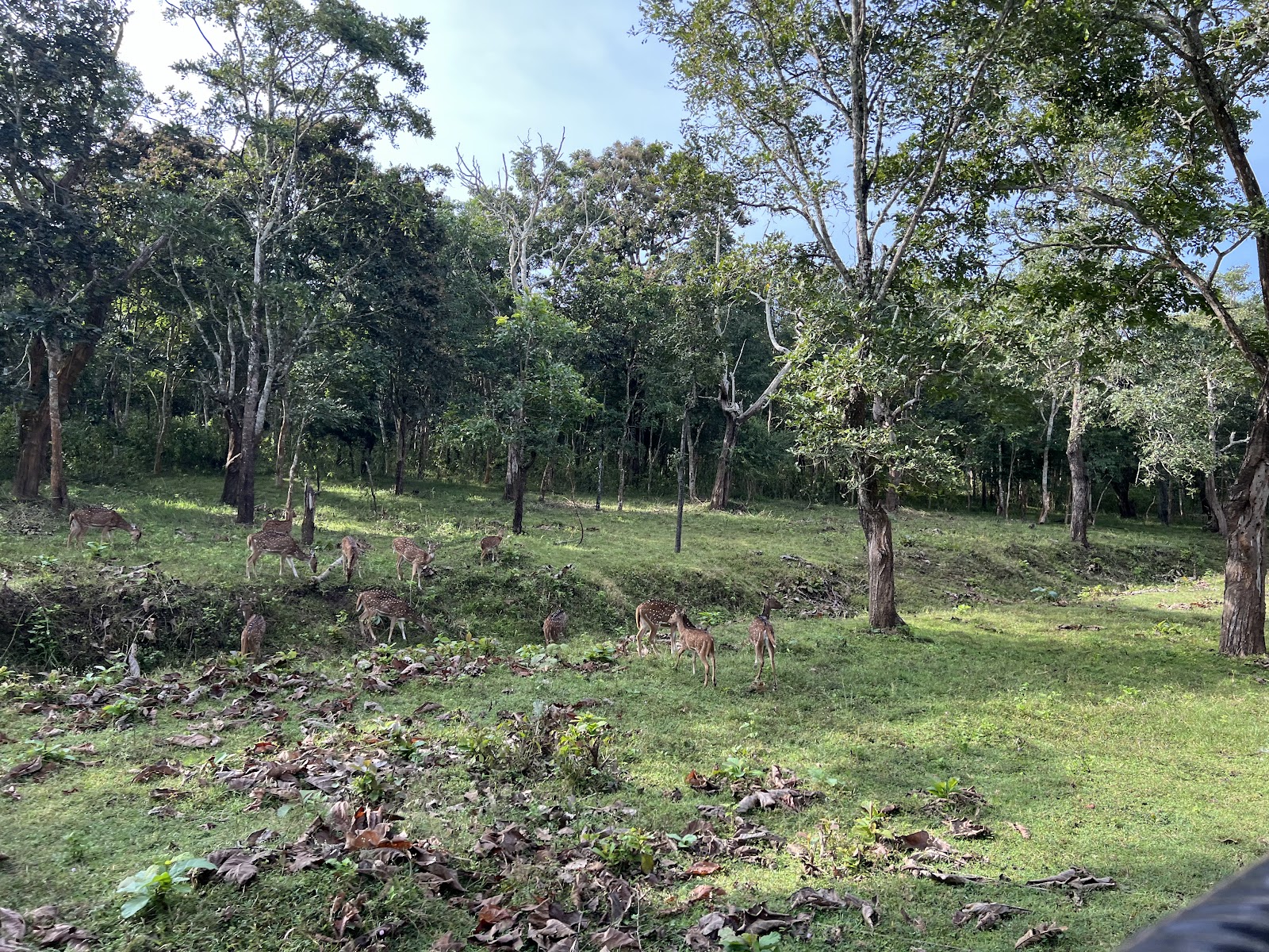 Karnataka State Museum